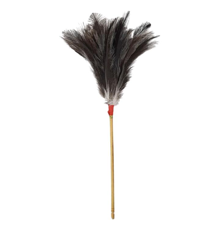 PLUMERO DE PLUMAS GRANDE